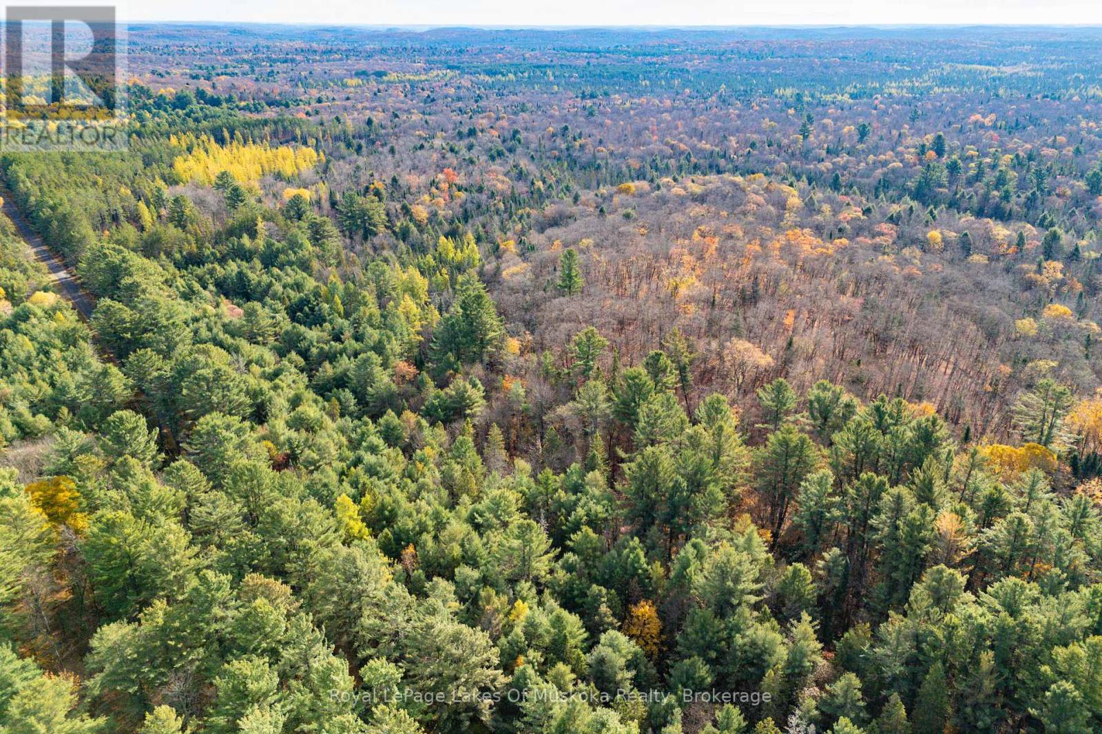 267 & 321 Cardwell Lake Road, Huntsville (Stisted), Ontario  P0B 1M0 - Photo 12 - X12471427