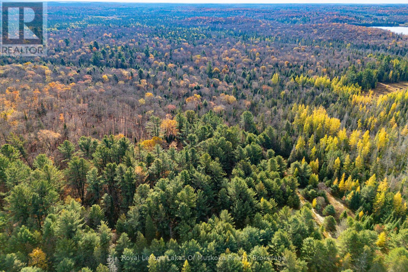 267 & 321 Cardwell Lake Road, Huntsville (Stisted), Ontario  P0B 1M0 - Photo 13 - X12471427