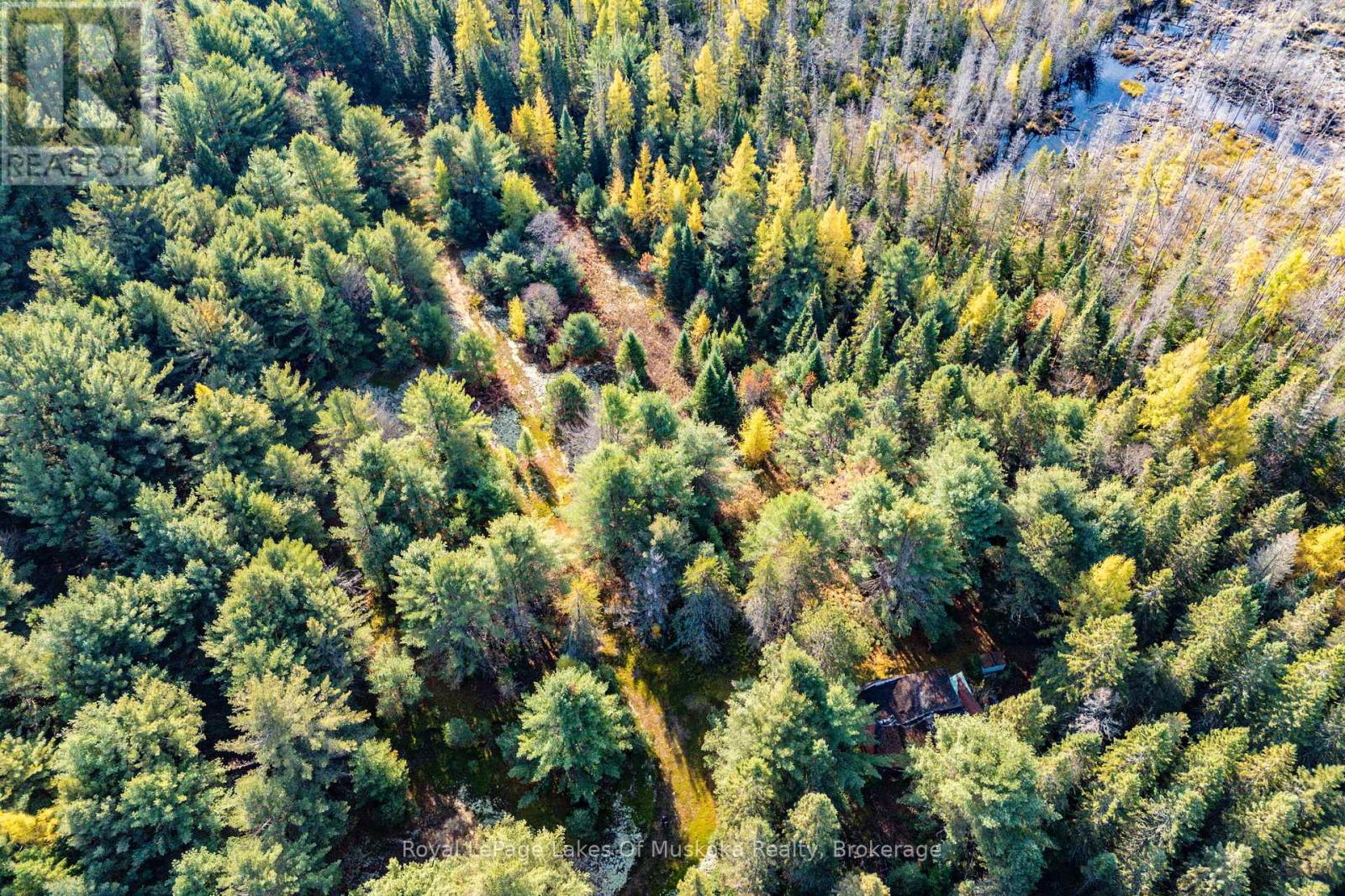 267 & 321 Cardwell Lake Road, Huntsville (Stisted), Ontario  P0B 1M0 - Photo 16 - X12471427
