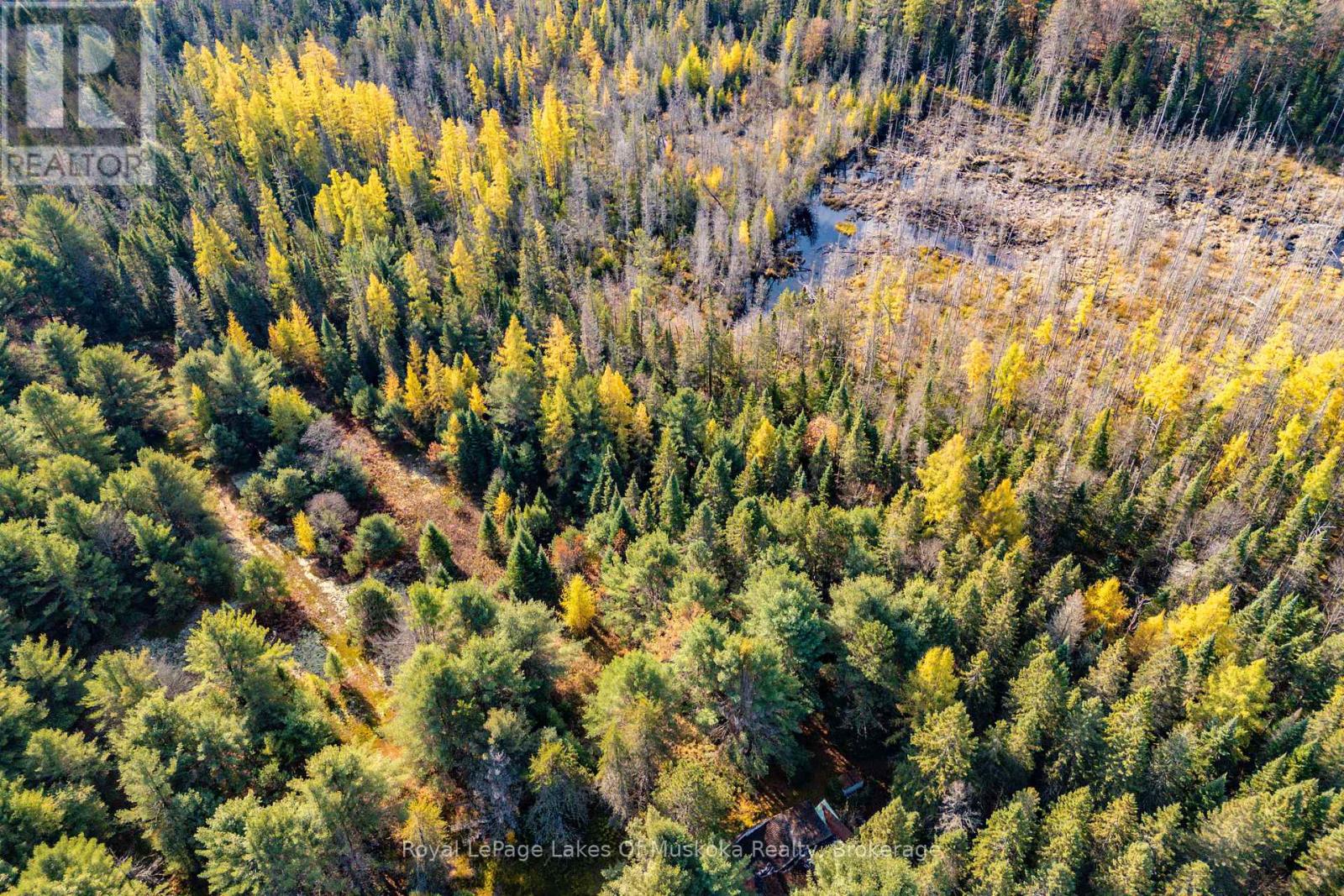 267 & 321 Cardwell Lake Road, Huntsville (Stisted), Ontario  P0B 1M0 - Photo 18 - X12471427
