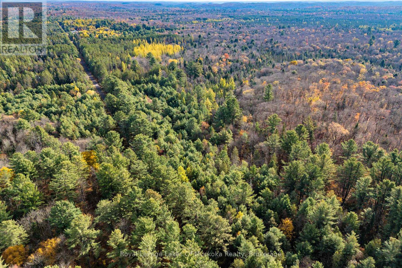 267 & 321 Cardwell Lake Road, Huntsville (Stisted), Ontario  P0B 1M0 - Photo 2 - X12471427