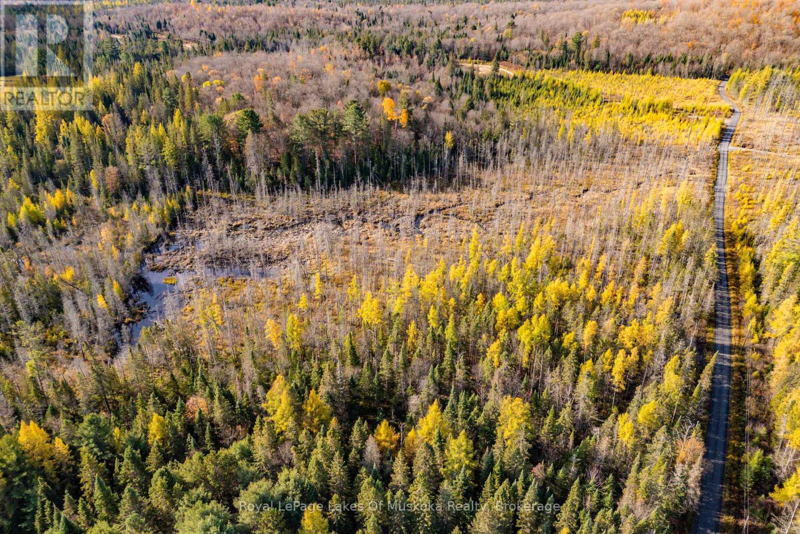 267 & 321 Cardwell Lake Road, Huntsville (Stisted), Ontario  P0B 1M0 - Photo 20 - X12471427