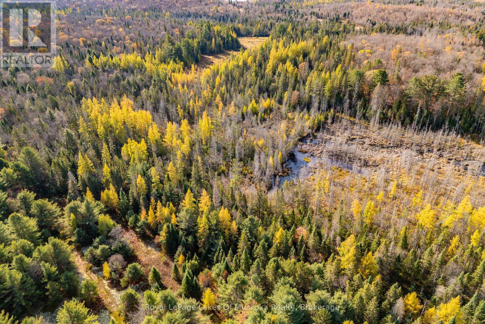 267 & 321 Cardwell Lake Road, Huntsville (Stisted), Ontario  P0B 1M0 - Photo 21 - X12471427