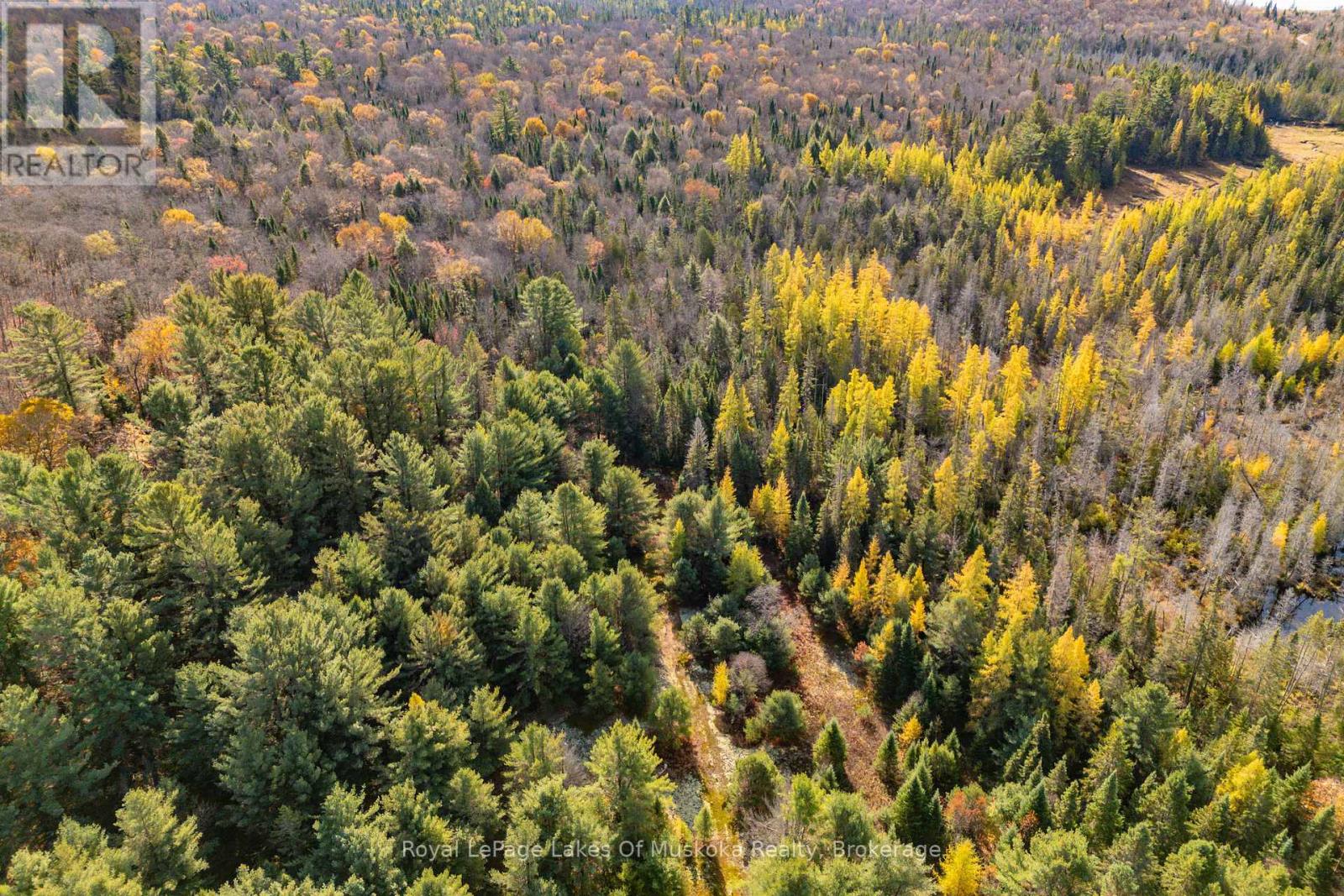 267 & 321 Cardwell Lake Road, Huntsville (Stisted), Ontario  P0B 1M0 - Photo 22 - X12471427