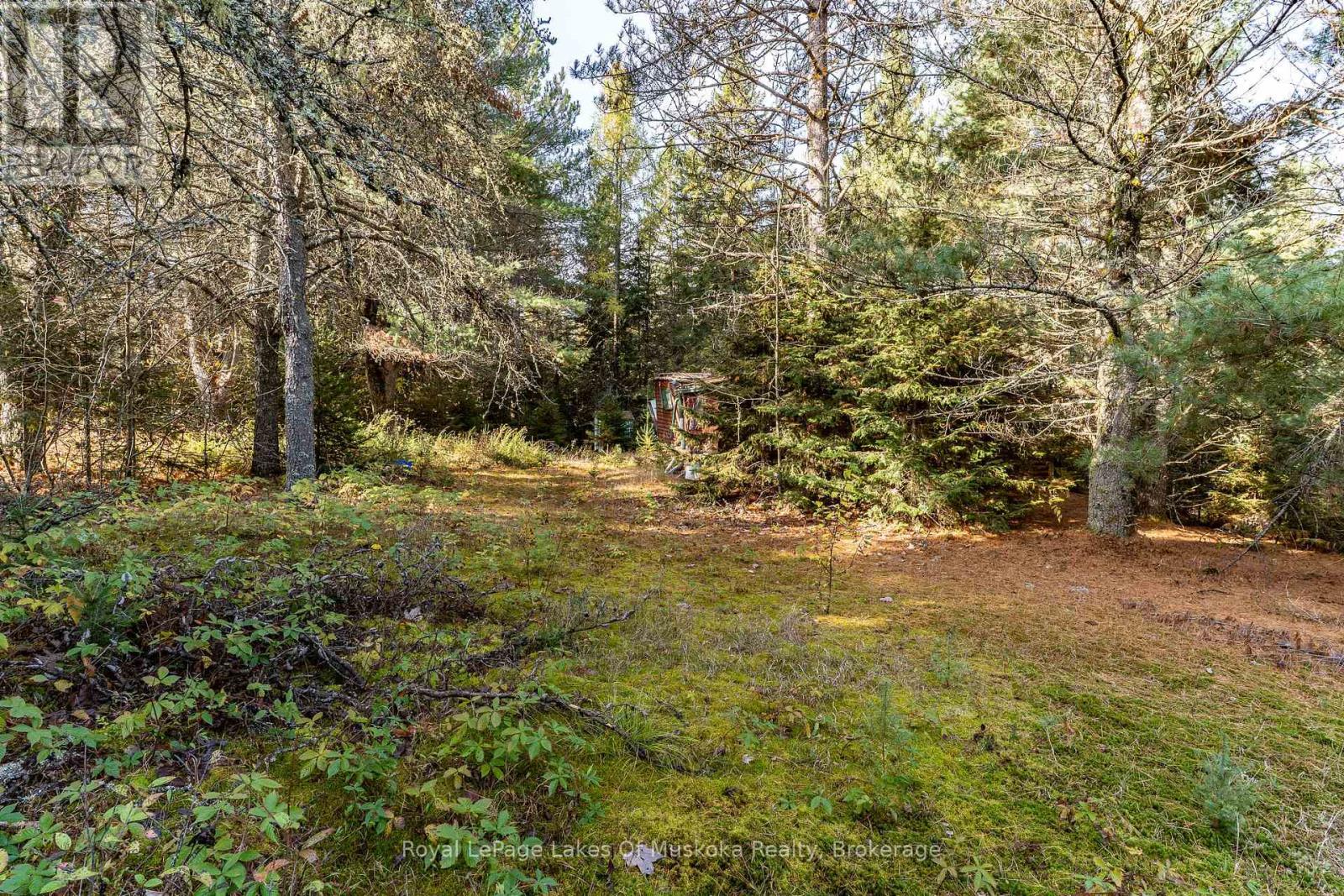 267 & 321 Cardwell Lake Road, Huntsville (Stisted), Ontario  P0B 1M0 - Photo 30 - X12471427
