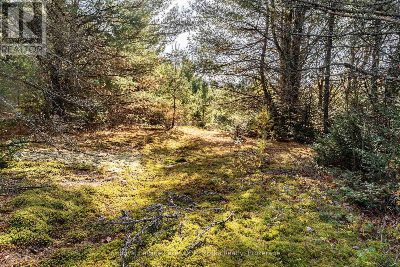267 & 321 Cardwell Lake Road, Huntsville (Stisted), Ontario  P0B 1M0 - Photo 32 - X12471427