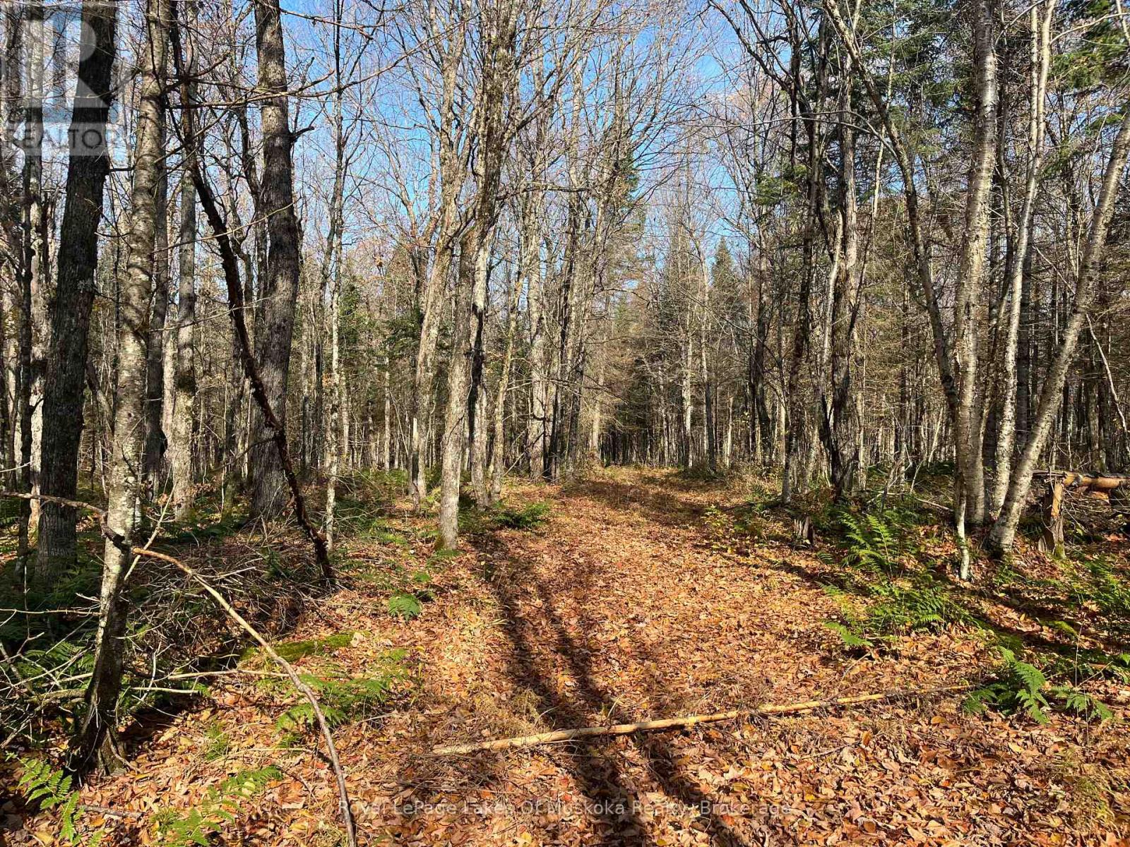 267 & 321 Cardwell Lake Road, Huntsville (Stisted), Ontario  P0B 1M0 - Photo 34 - X12471427