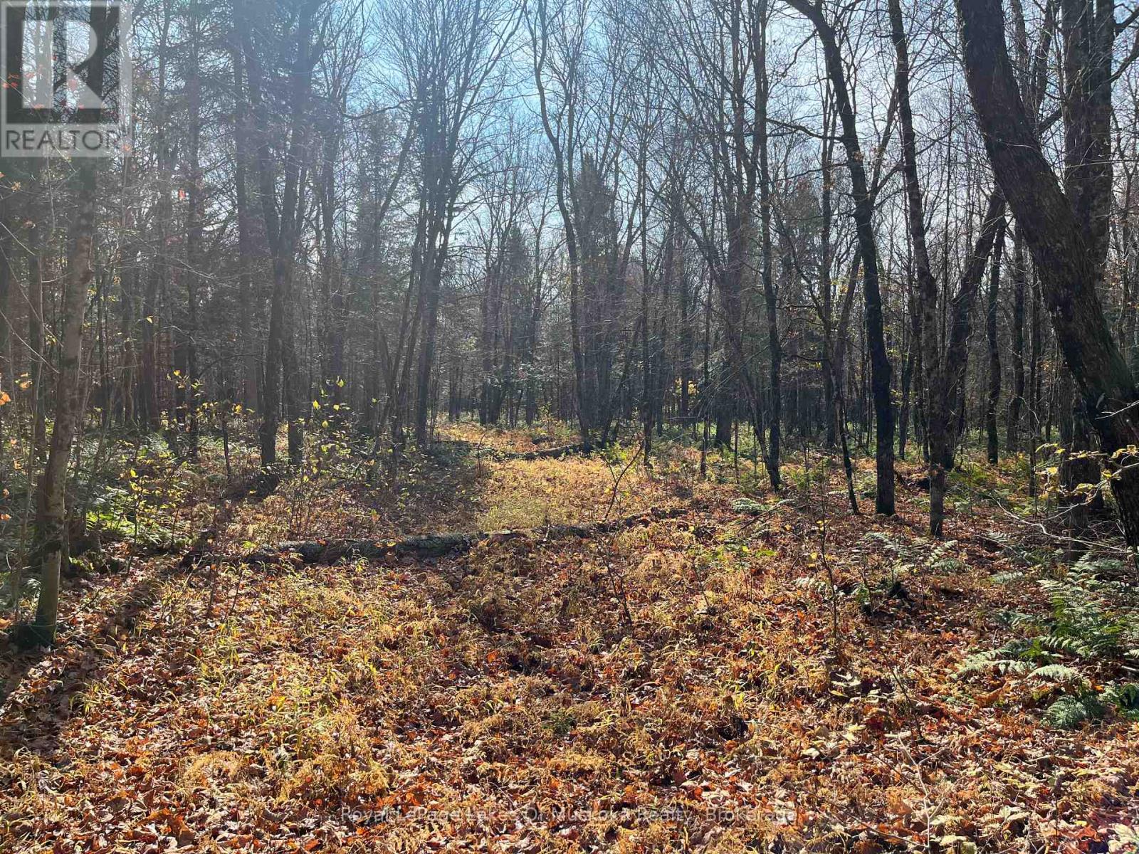 267 & 321 Cardwell Lake Road, Huntsville (Stisted), Ontario  P0B 1M0 - Photo 35 - X12471427