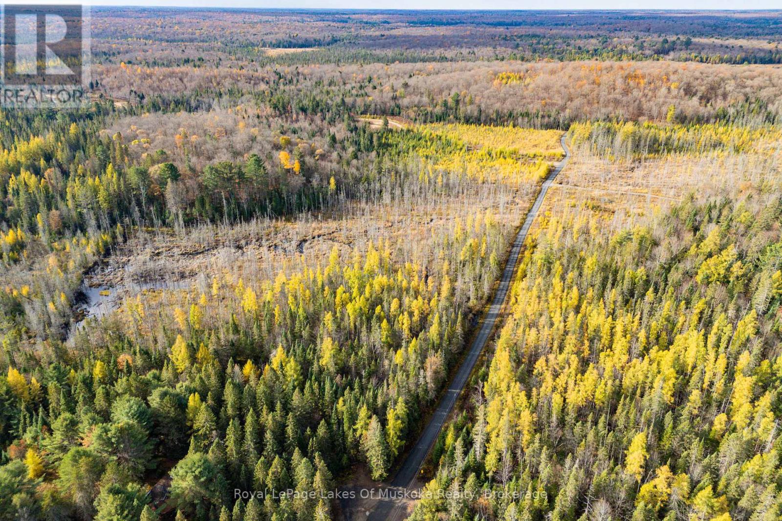267 & 321 Cardwell Lake Road, Huntsville (Stisted), Ontario  P0B 1M0 - Photo 4 - X12471427
