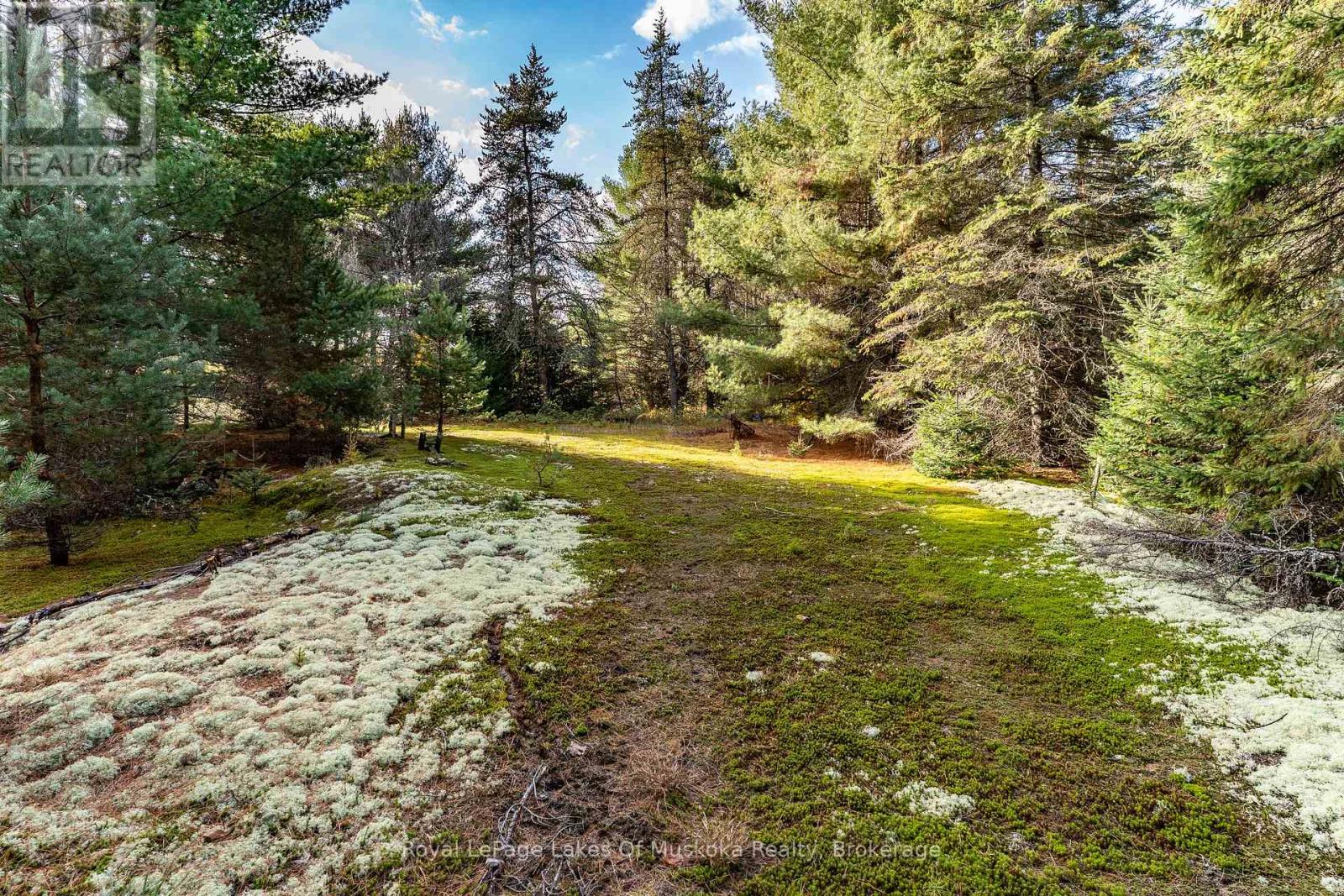 267 & 321 Cardwell Lake Road, Huntsville (Stisted), Ontario  P0B 1M0 - Photo 7 - X12471427