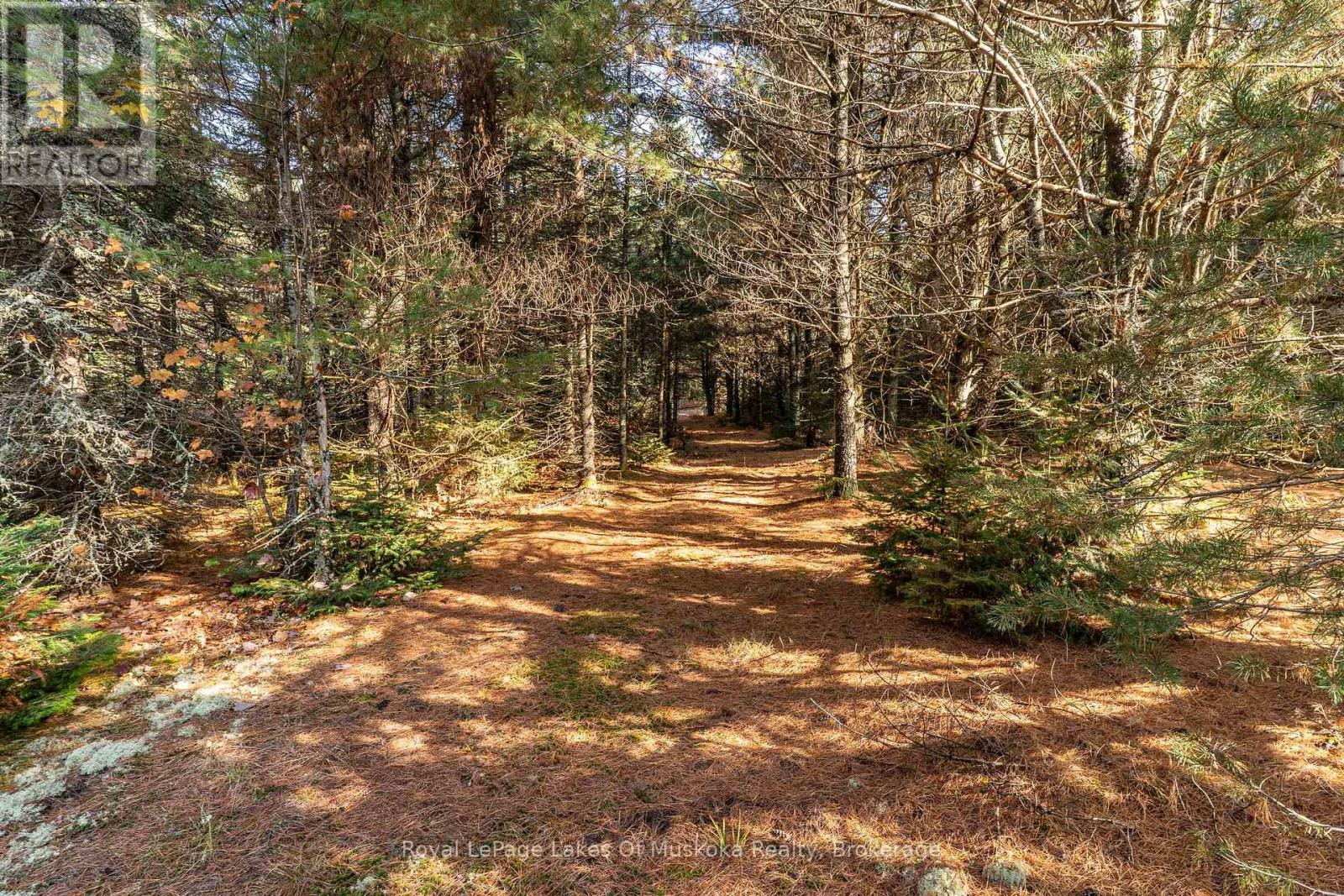 267 & 321 Cardwell Lake Road, Huntsville (Stisted), Ontario  P0B 1M0 - Photo 9 - X12471427
