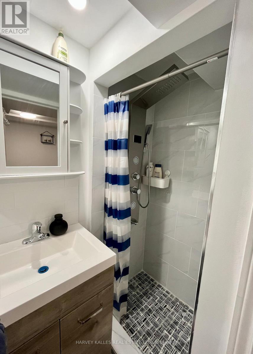 Lower - 26 Leyton Avenue, Toronto, Ontario  M1L 3T4 - Photo 18 - E12471393
