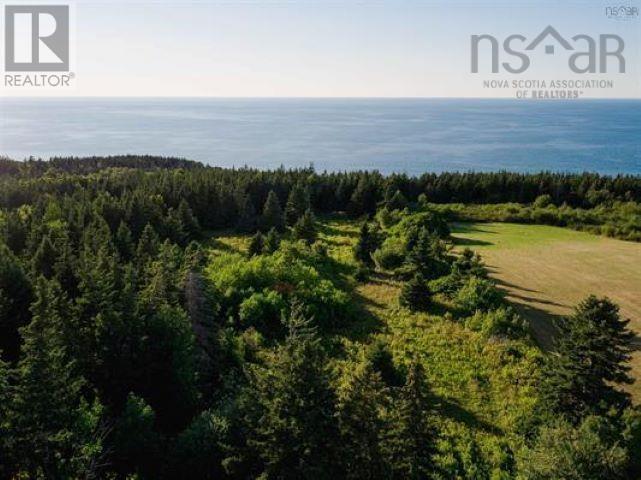 Lot Sight Point Road, Inverness, Nova Scotia  B0E 1N0 - Photo 19 - 202522407