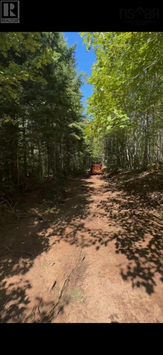 Lot B4 Cloverdale Road, Stewiacke East, Nova Scotia  B0N 2J0 - Photo 5 - 202524455