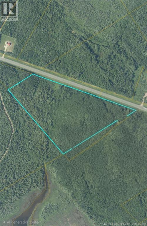 21.7 Acre Route 113, Inkerman, New Brunswick  E8P 1E2 - Photo 1 - NB128805