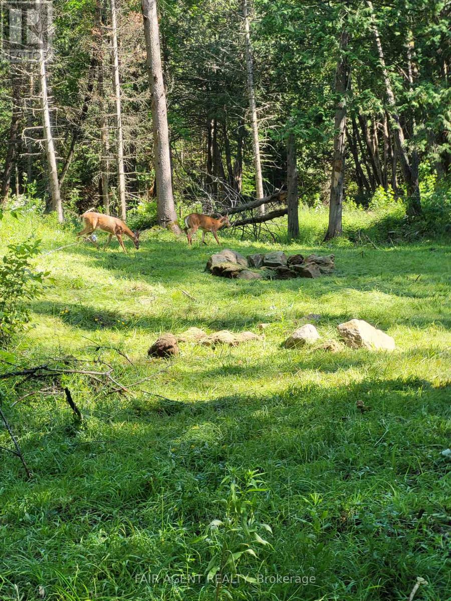 Lt16c10 County Rd 503, Highlands East (Monmouth), Ontario  K0L 2Y0 - Photo 10 - X12471567