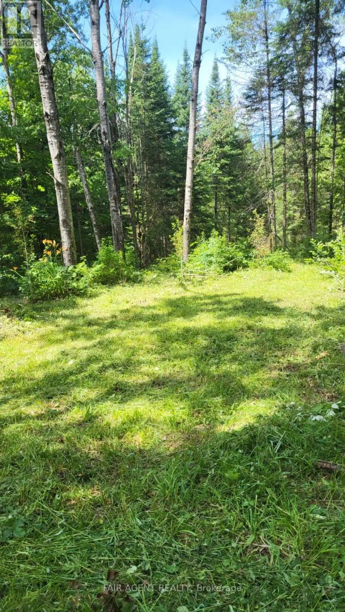 Lt16c10 County Rd 503, Highlands East (Monmouth), Ontario  K0L 2Y0 - Photo 13 - X12471567