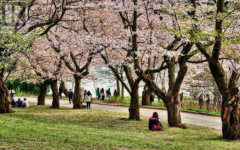 811 - 80 Quebec Avenue, Toronto, Ontario  M6P 4B7 - Photo 8 - W12447155