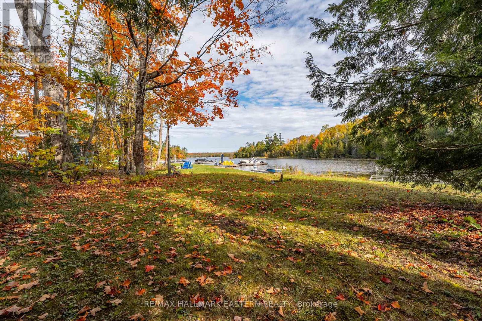 68 Irwin Drive, Trent Lakes, Ontario  K0L 1J0 - Photo 36 - X12197841