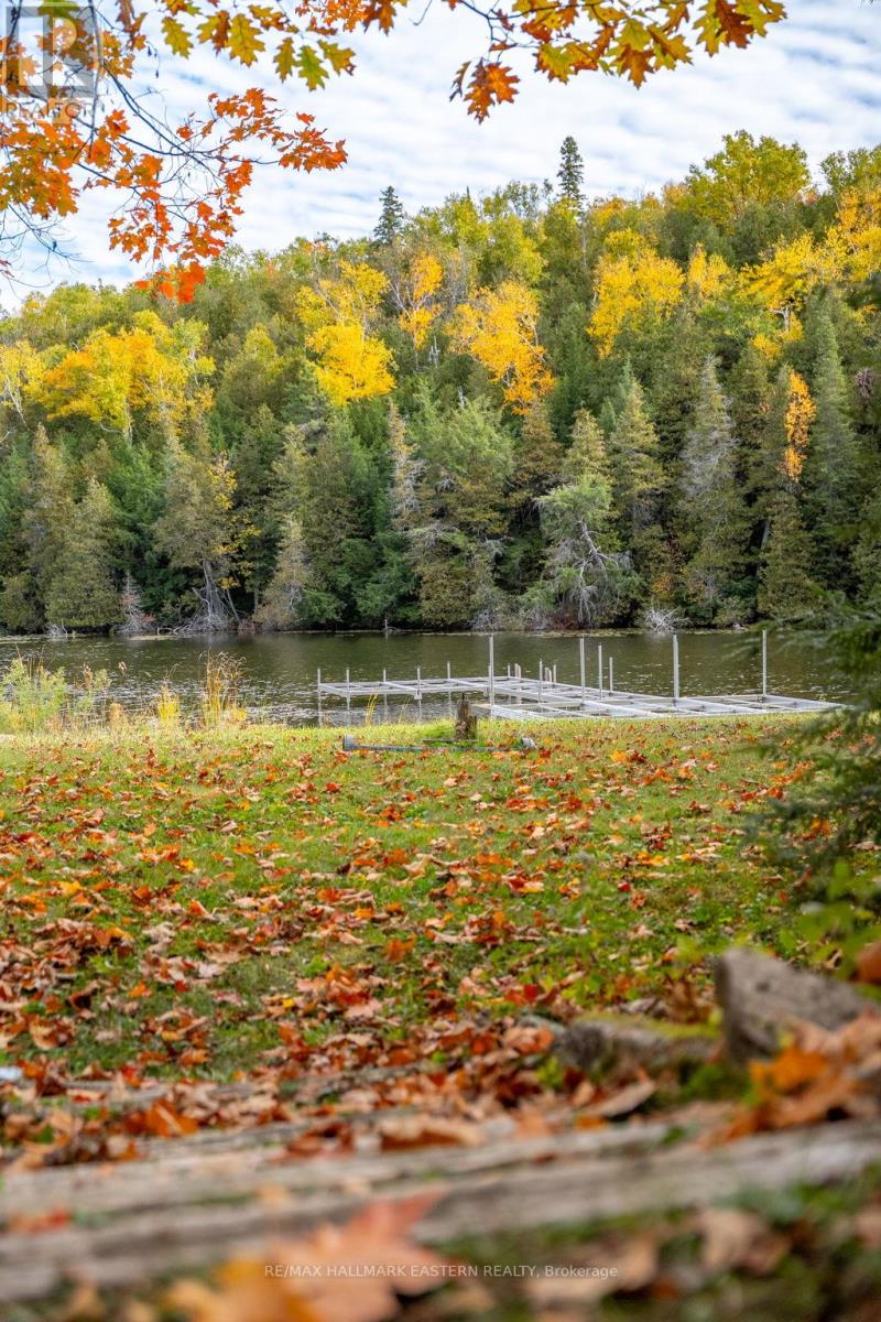 68 Irwin Drive, Trent Lakes, Ontario  K0L 1J0 - Photo 33 - X12197841