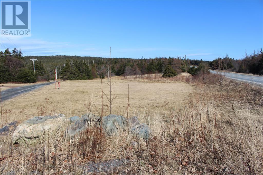 129 Old Trinity South Highway, Cavendish, Newfoundland & Labrador  A0B 1J0 - Photo 22 - 1291681