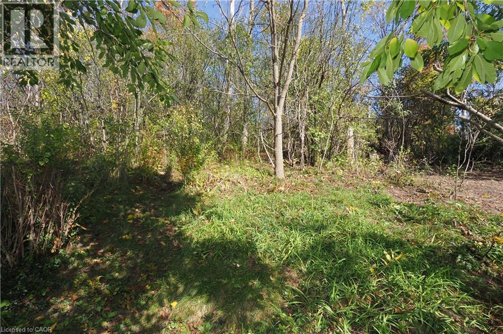 324 Keewatin Avenue, Kitchener, Ontario  N2B 3W6 - Photo 34 - 40778318