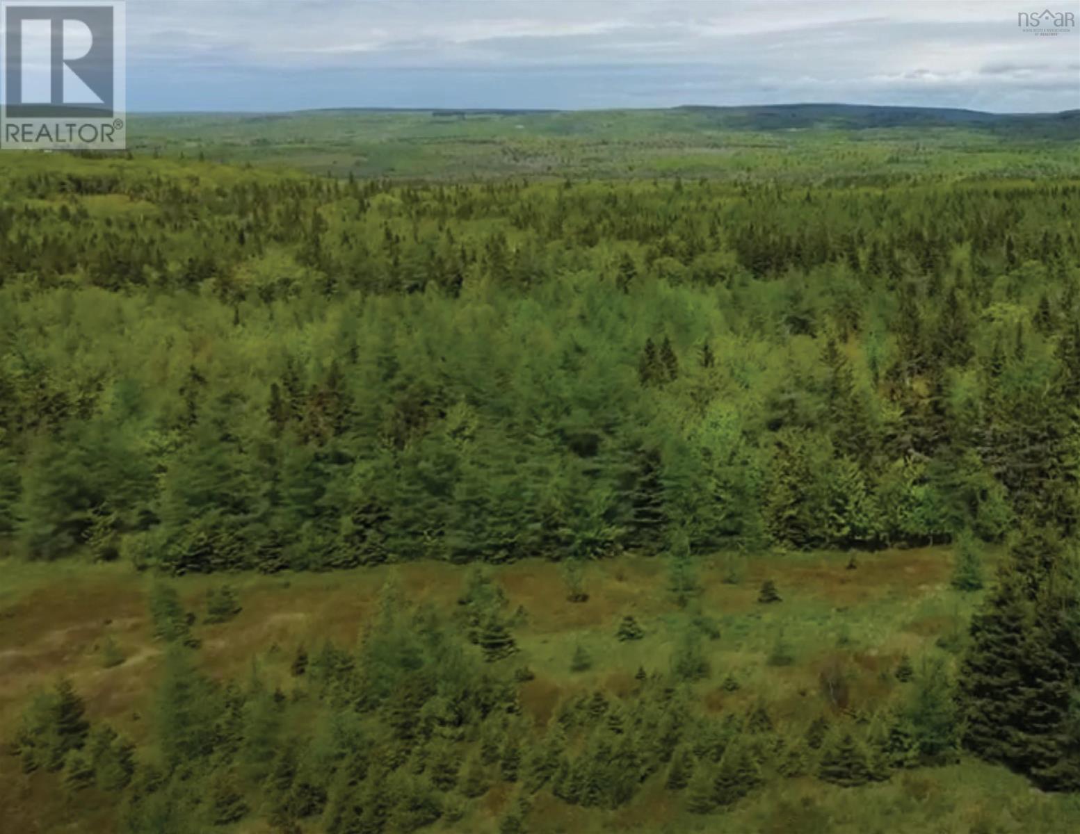 592 Glencoe Road, Glencoe, Nova Scotia  B0E 1X0 - Photo 6 - 202514758