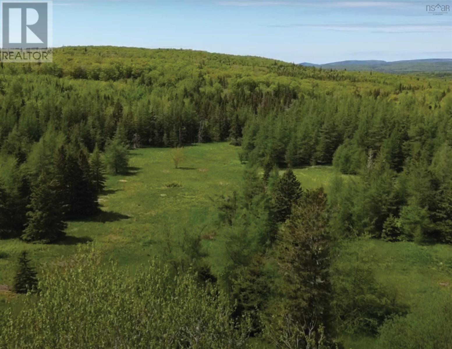 592 Glencoe Road, Glencoe, Nova Scotia  B0E 1X0 - Photo 3 - 202514758