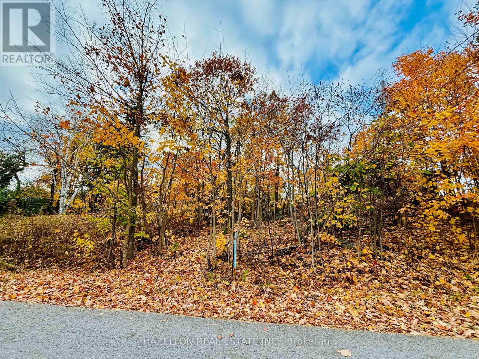554 Barnes Avenue, Tay, Ontario  L0K 1R0 - Photo 2 - S12471589