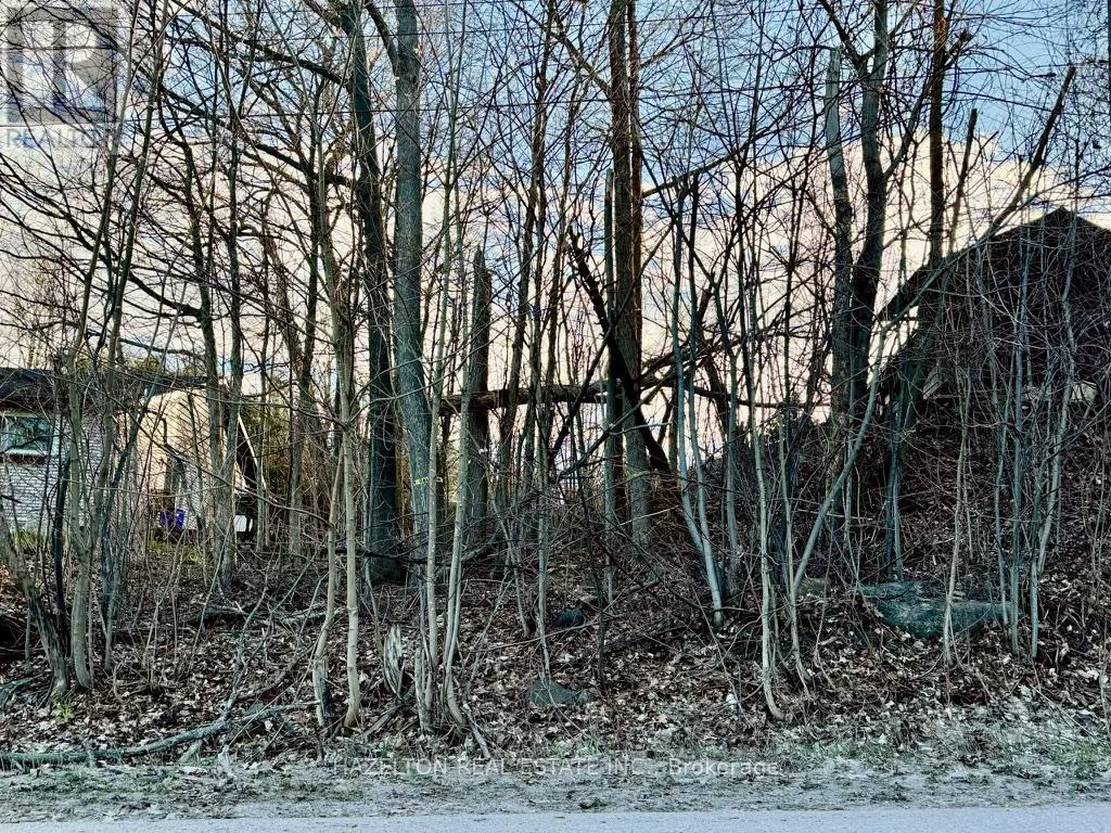 554 Barnes Avenue, Tay, Ontario  L0K 1R0 - Photo 6 - S12471589