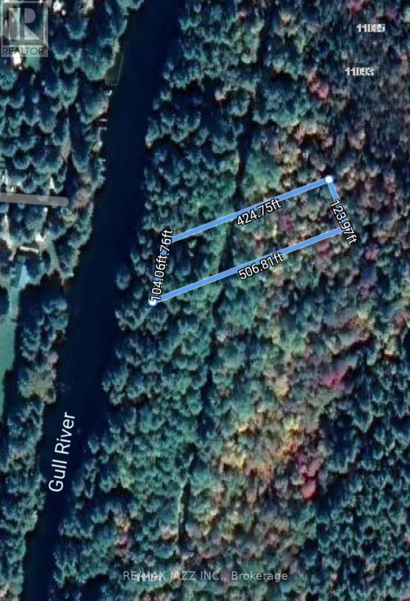 0 Concession 3 Road, Minden Hills (Minden), Ontario  K0M 2L1 - Photo 14 - X12471637