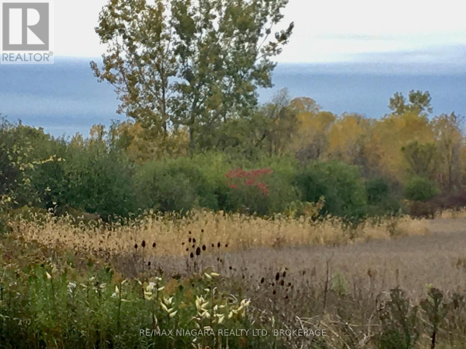 4576 Kalar Road, Niagara Falls, Ontario  L2H 1S9 - Photo 46 - X12470724