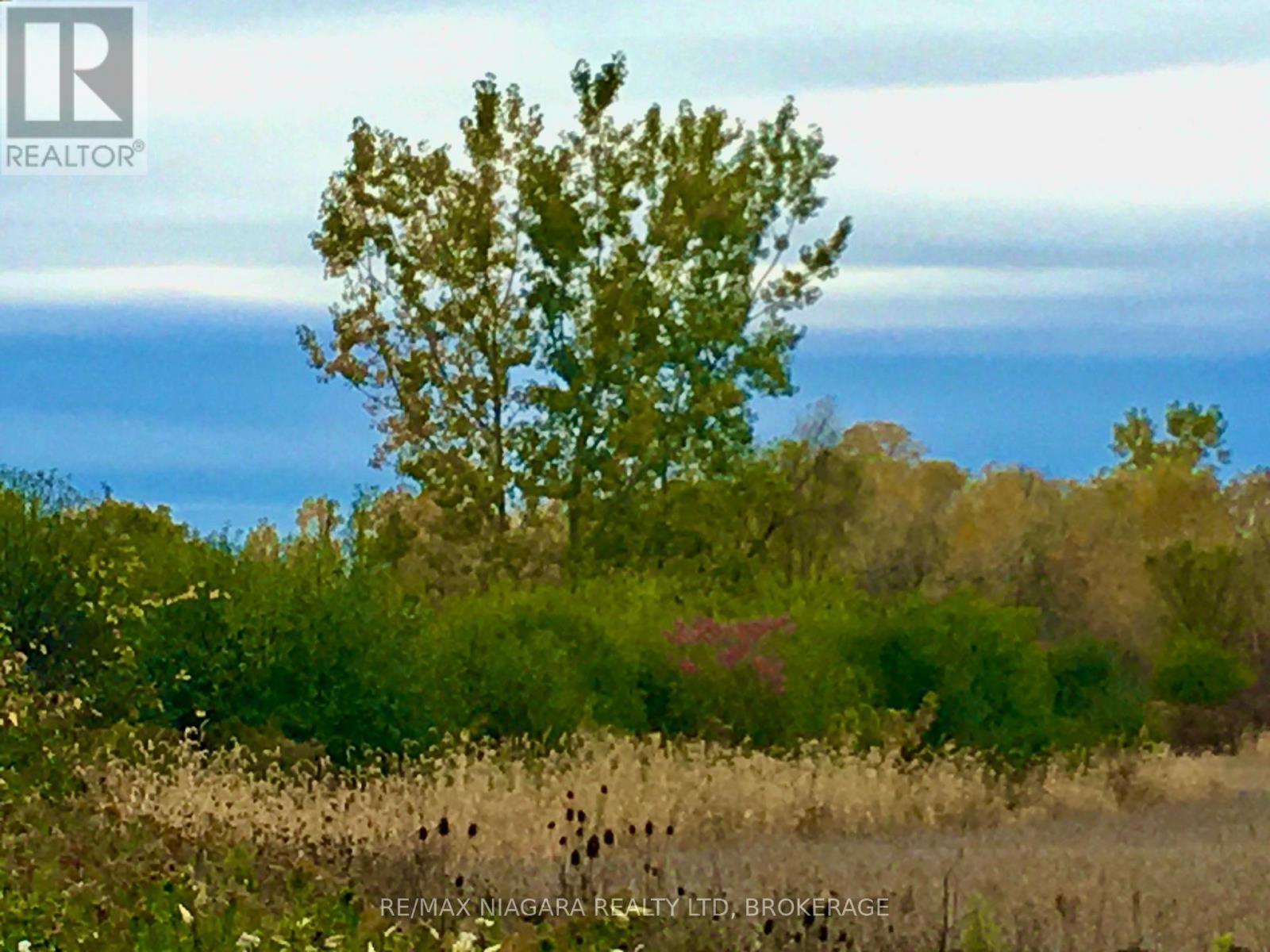 4576 Kalar Road, Niagara Falls, Ontario  L2H 1S9 - Photo 47 - X12470724