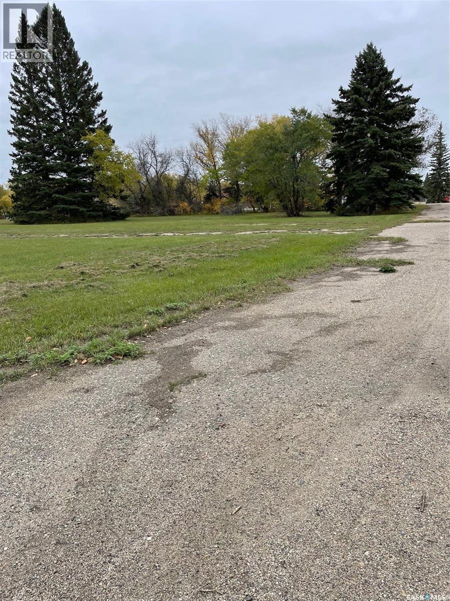 215 & 221 York Road W, Yorkton, Saskatchewan  S3N 2V6 - Photo 2 - SK021267