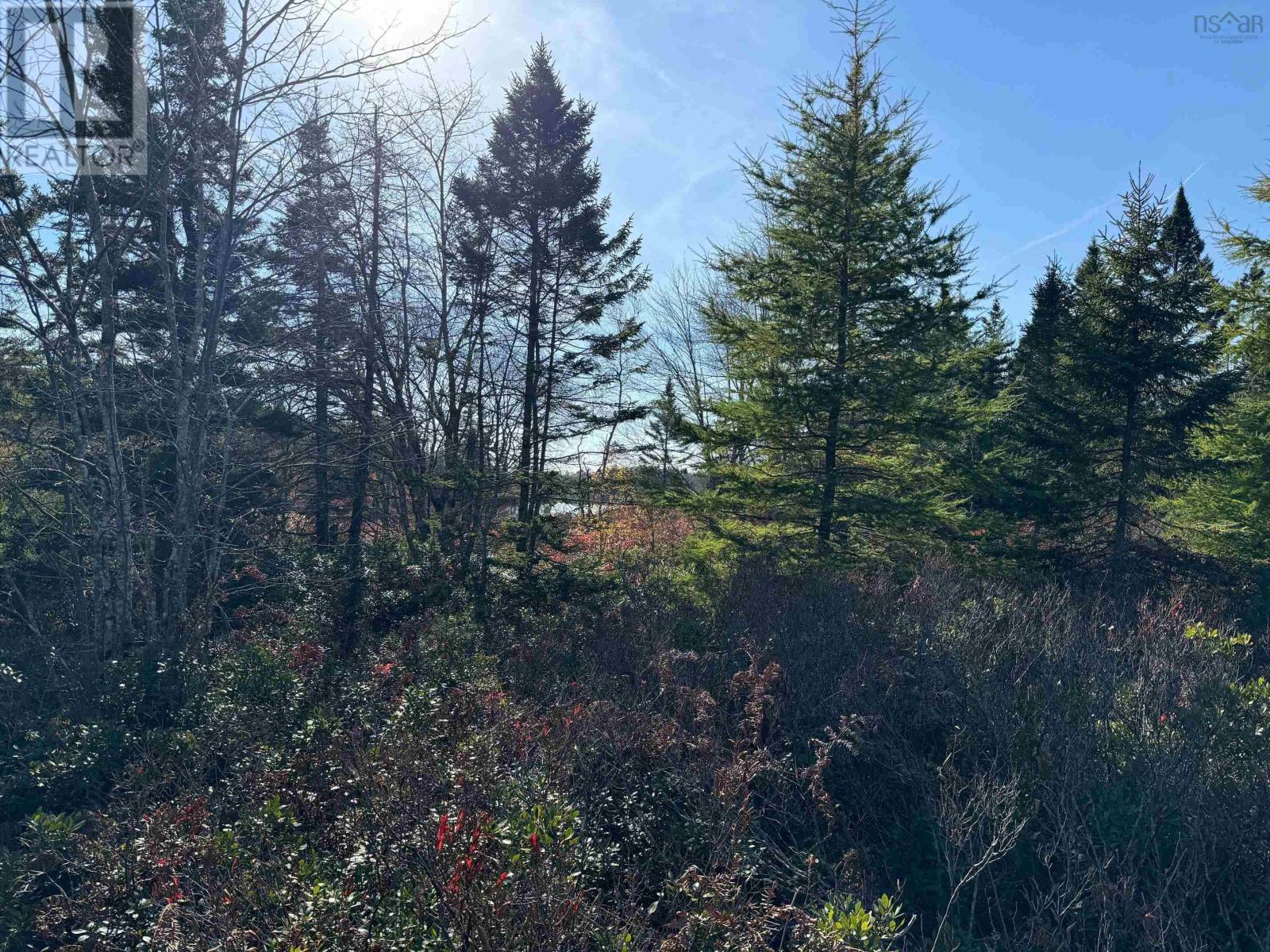 Grant 5942 Jacksons Mountain, East Quinan, Nova Scotia  B0W 3M0 - Photo 2 - 202526189