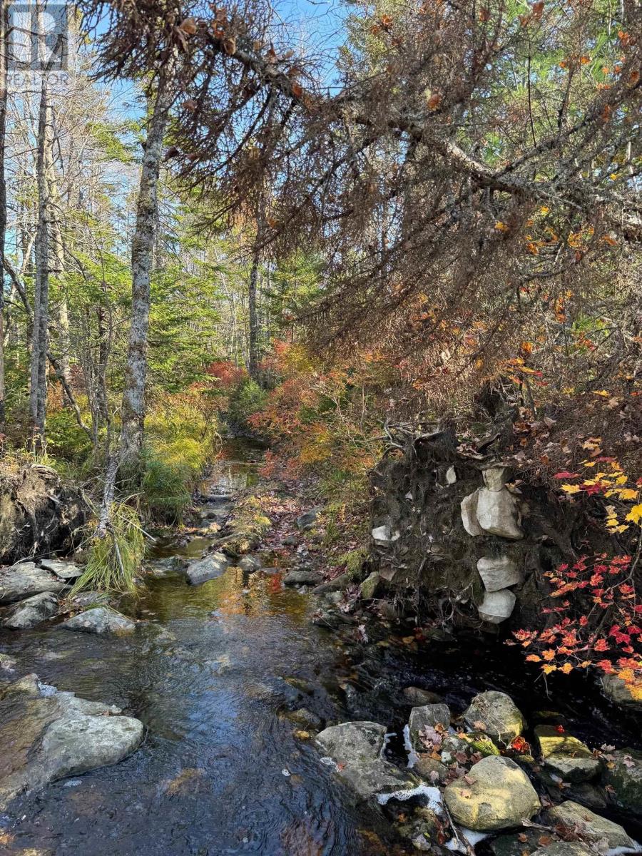 Grant 5942 Jacksons Mountain, East Quinan, Nova Scotia  B0W 3M0 - Photo 5 - 202526189
