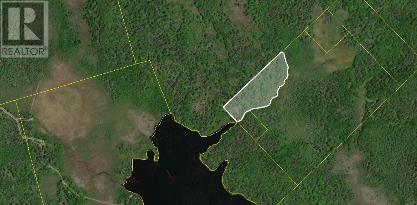 Grant 5942 Jacksons Mountain, East Quinan, Nova Scotia  B0W 3M0 - Photo 7 - 202526189