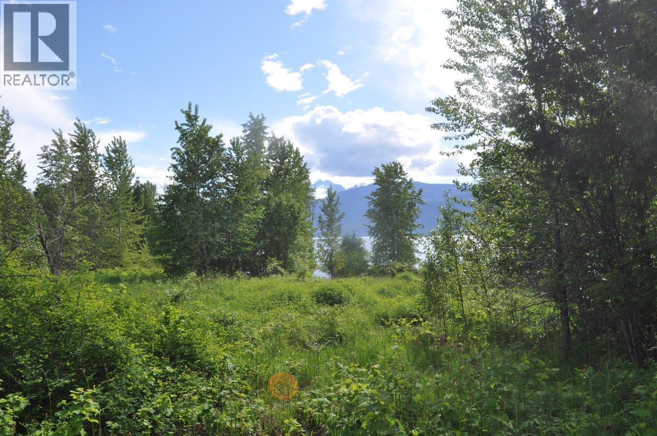 705 Boat Launch Way Lot# 37, Galena Bay, British Columbia  V0G 1R0 - Photo 16 - 10352342