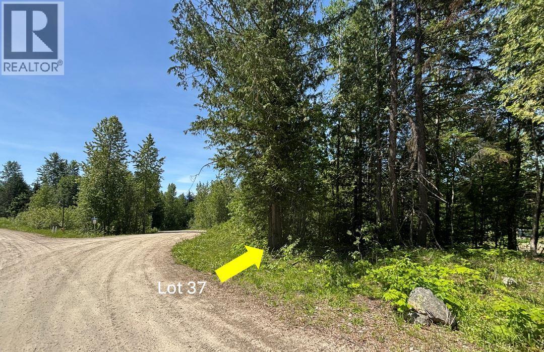 705 Boat Launch Way Lot# 37, Galena Bay, British Columbia  V0G 1R0 - Photo 11 - 10352342