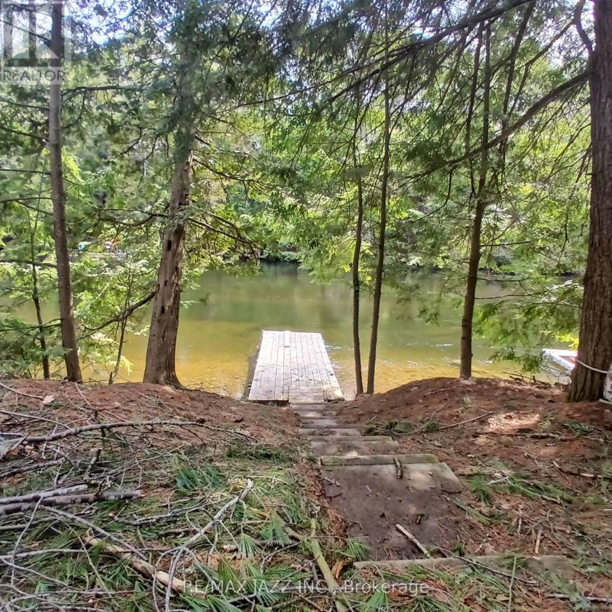 0 Concession 3 Road, Minden Hills (Minden), Ontario  K0M 2L1 - Photo 1 - X12471637