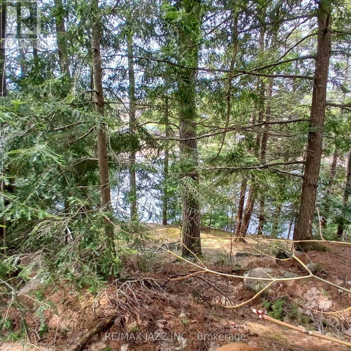 0 Concession 3 Road, Minden Hills (Minden), Ontario  K0M 2L1 - Photo 2 - X12471637