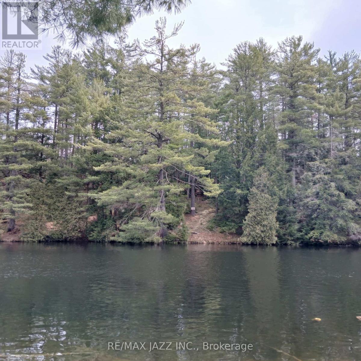 0 Concession 3 Road, Minden Hills (Minden), Ontario  K0M 2L1 - Photo 11 - X12471637