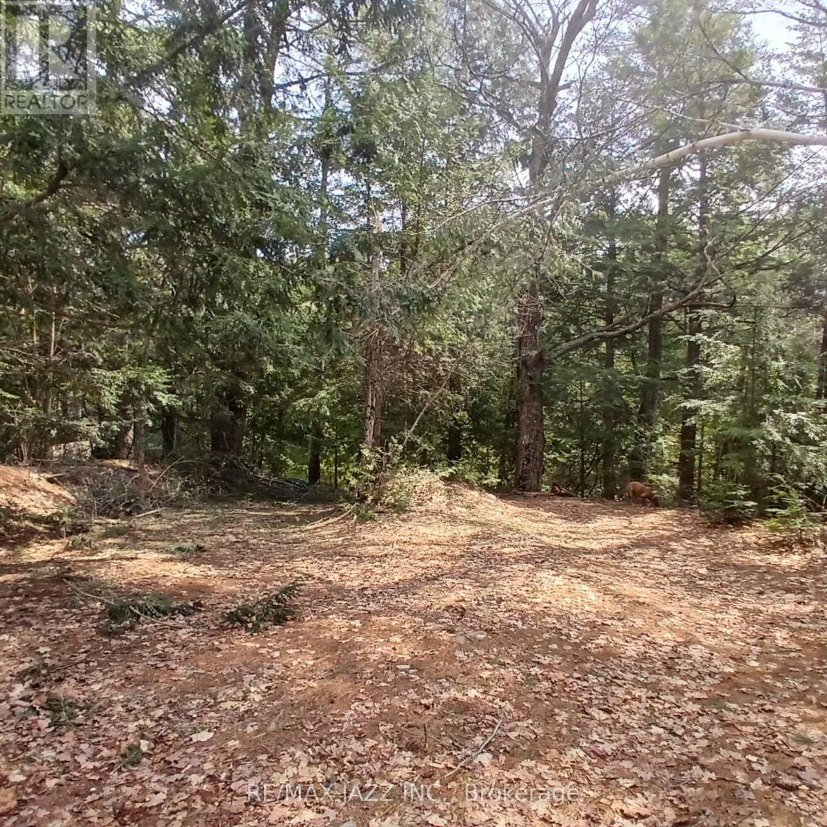 0 Concession 3 Road, Minden Hills (Minden), Ontario  K0M 2L1 - Photo 7 - X12471637