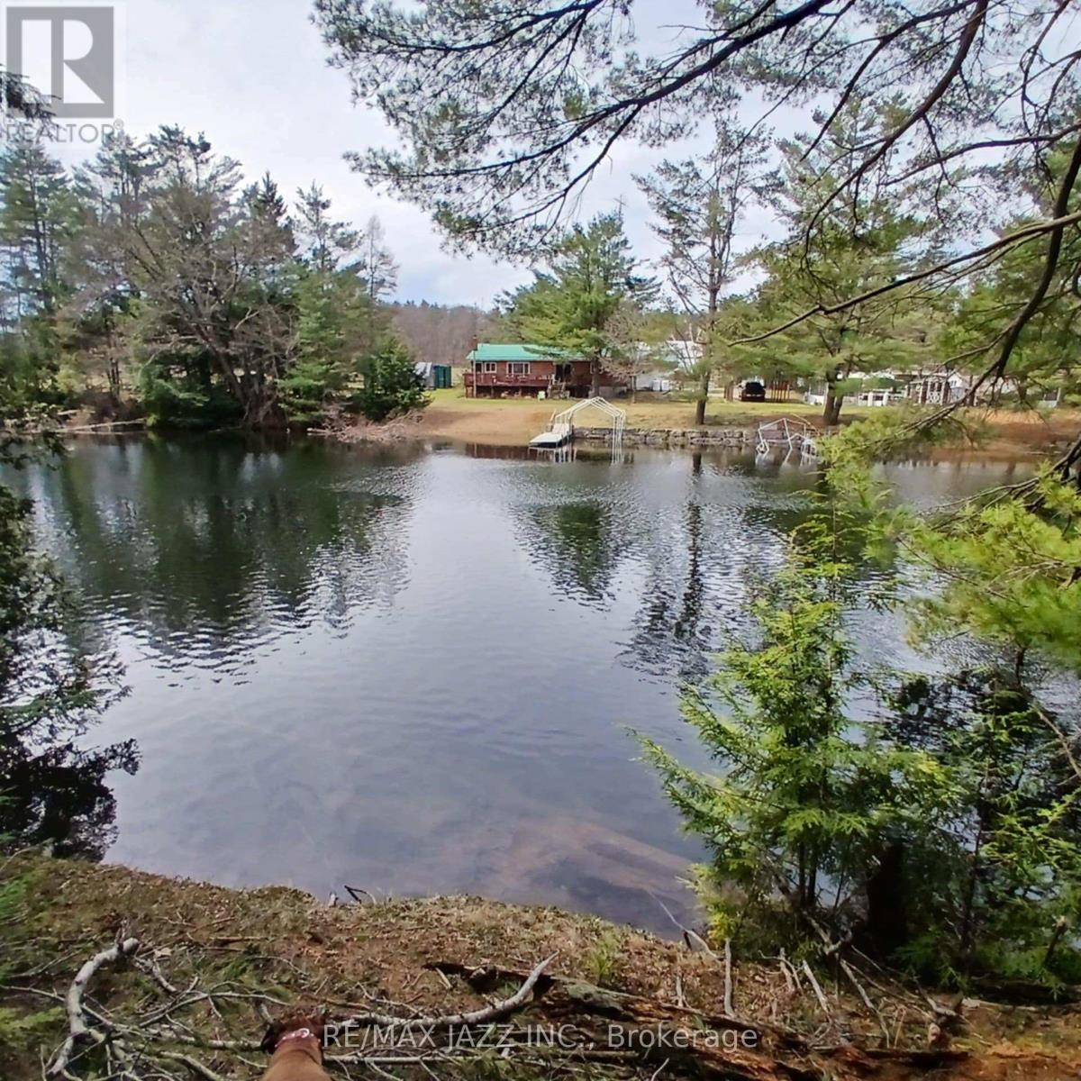 0 Concession 3 Road, Minden Hills (Minden), Ontario  K0M 2L1 - Photo 8 - X12471637