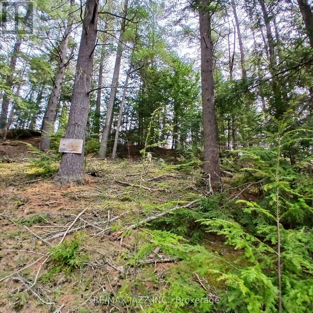 0 Concession 3 Road, Minden Hills (Minden), Ontario  K0M 2L1 - Photo 6 - X12471637
