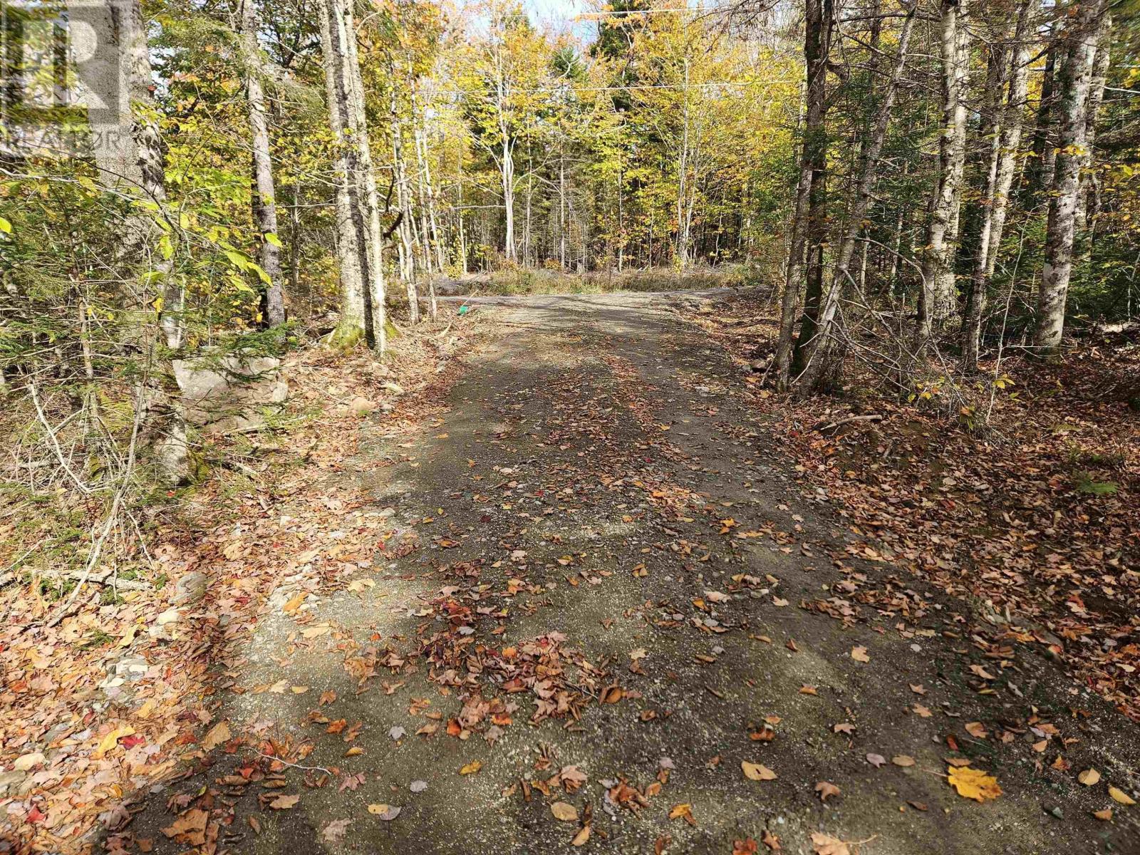 Lot 2 Chemin Theriault Point Road, Belliveaus Cove, Nova Scotia  B0W 1M0 - Photo 26 - 202513684