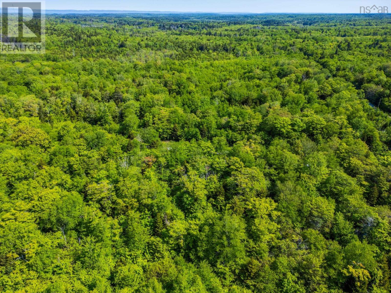 Lot 2 Chemin Theriault Point Road, Belliveaus Cove, Nova Scotia  B0W 1M0 - Photo 9 - 202513684