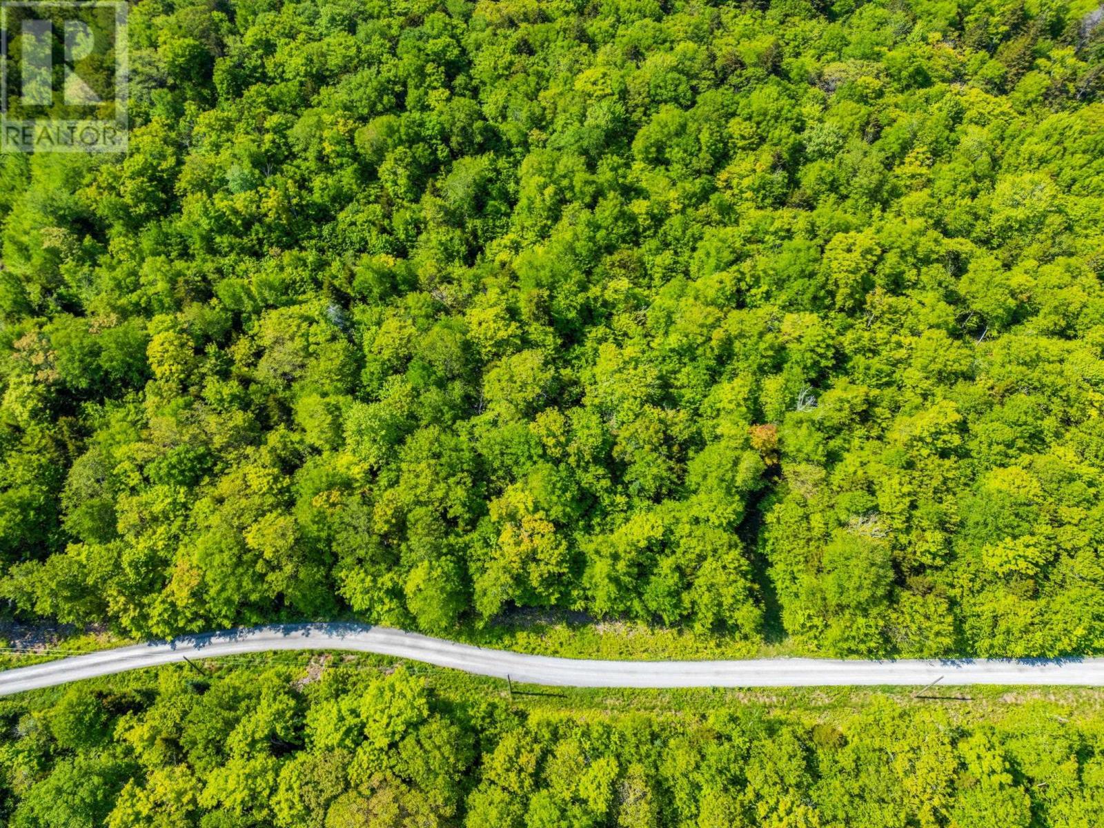 Lot 2 Chemin Theriault Point Road, Belliveaus Cove, Nova Scotia  B0W 1M0 - Photo 6 - 202513684