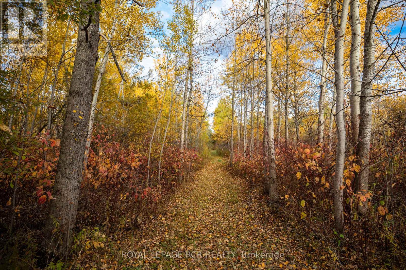 595133 Blind Line, Mono, Ontario  L9W 5N4 - Photo 38 - X11914967
