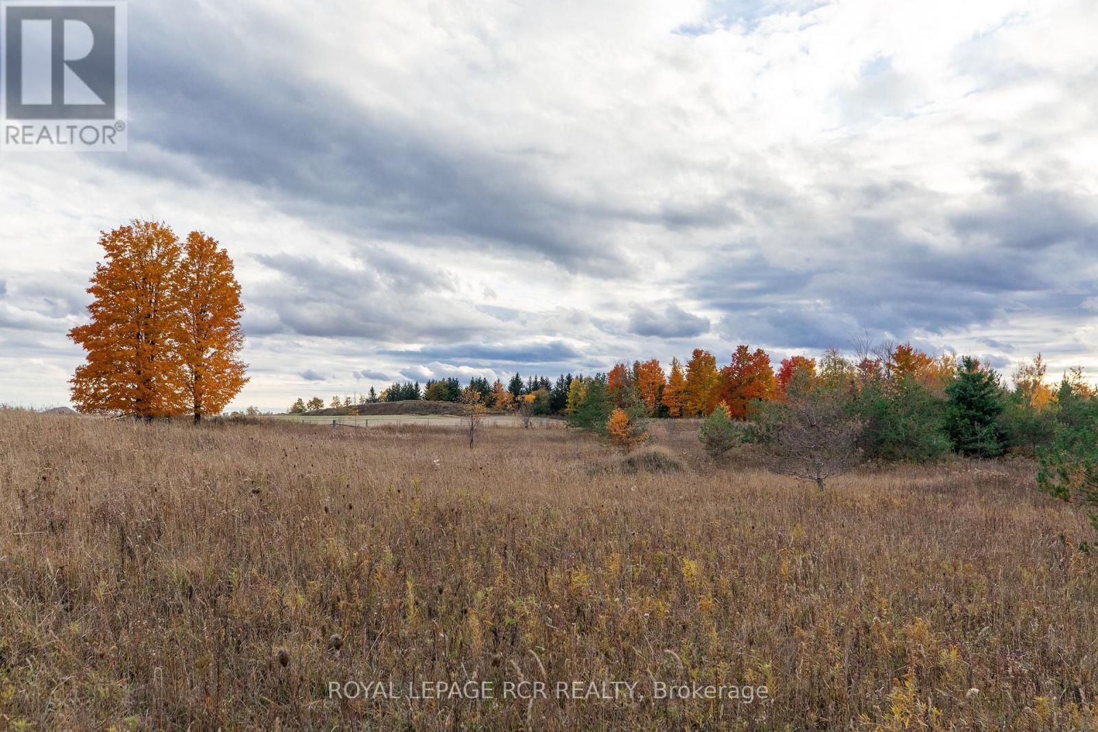 595133 Blind Line, Mono, Ontario  L9W 5N4 - Photo 35 - X11914967